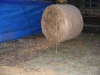 kep_064