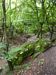Kep_0818 Kep_0818