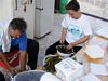 kep_0485 kep_0485