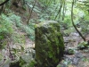 Kep_0865 Kep_0865